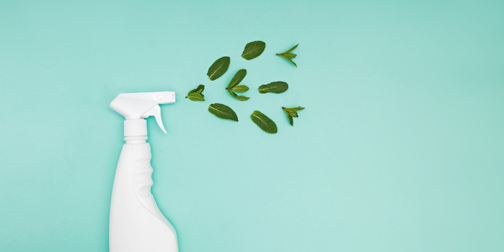 Easy Ways for Eco-friendly Housekeeping