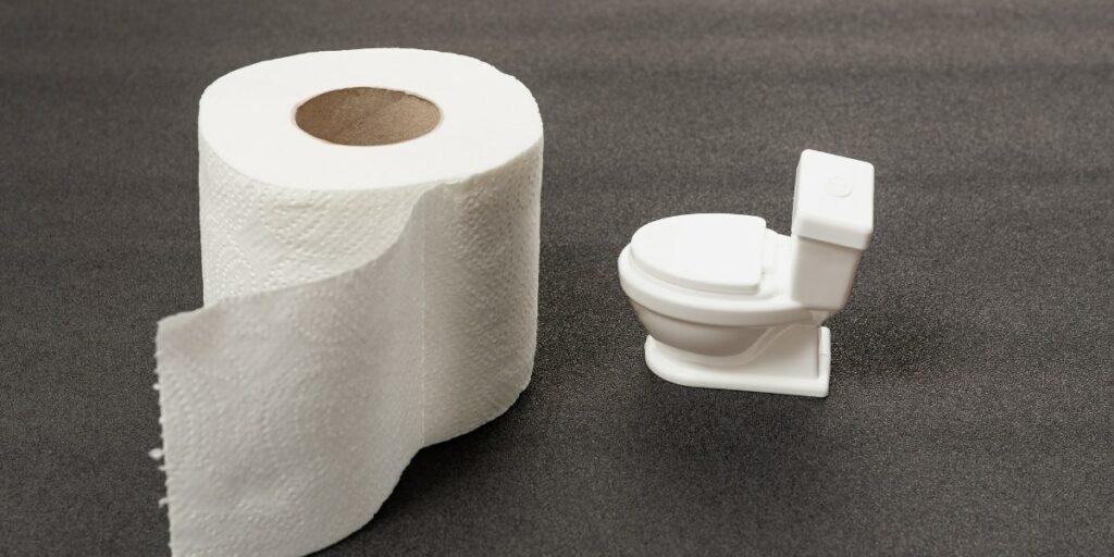 Eco-Friendly Toilet Paper