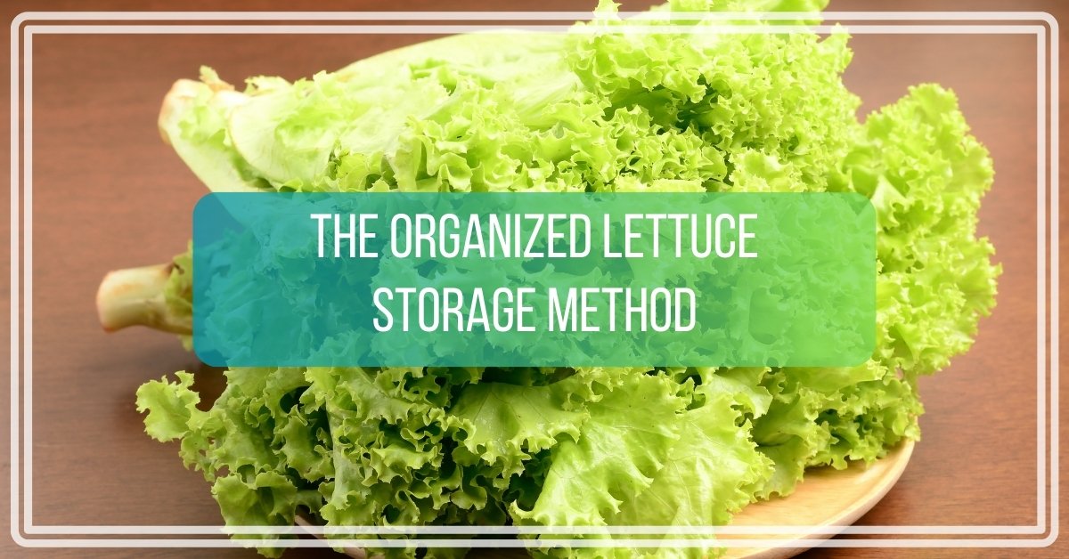 The Organized Lettuce Storage Method That Saves Time & Greens